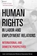 Kartonierter Einband Human Rights in Labor and Employment Relations von James A. Compa, Lance Gross
