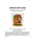 E-Book (epub) America the Large von Mike Arman