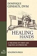 E-Book (epub) Healing Hands von D. V. M. Giniaux