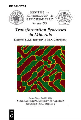 Kartonierter Einband Transformation Processes in Minerals von 