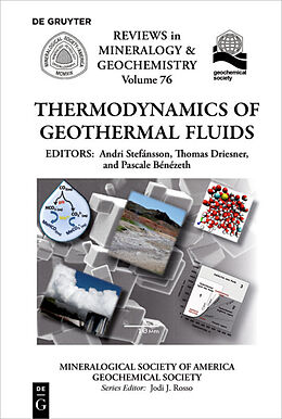 Kartonierter Einband Thermodynamics of Geothermal Fluids von 