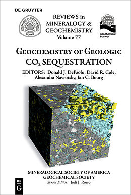 Kartonierter Einband Geochemistry of Geologic CO2 Sequestration von 