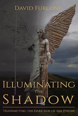 E-Book (epub) Illuminating The Shadow von David Furlong