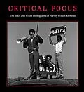 E-Book (epub) Critical Focus von Paul Richards