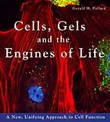 Kartonierter Einband Cells, Gels and the Engines of Life von Gerald Pollack