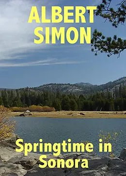 E-Book (epub) Springtime in Sonora: A Henry Wright Mystery (Henry Wright Mysteries, #2) von Albert Simon