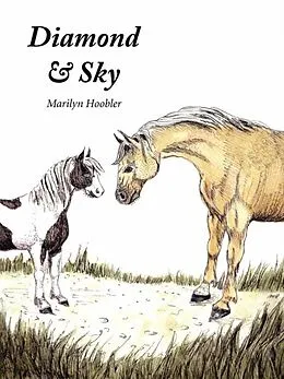 E-Book (epub) Diamond & Sky von Marilyn E Hoobler