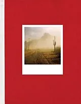 Fester Einband Mike Slack: Pyramids von Mike (CON) Slack