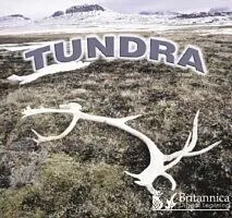 E-Book (pdf) Tundra von Lynn M Stone