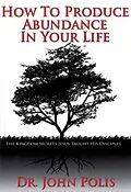 E-Book (epub) How to Produce Abundance in Your Life von Dr. John Polis