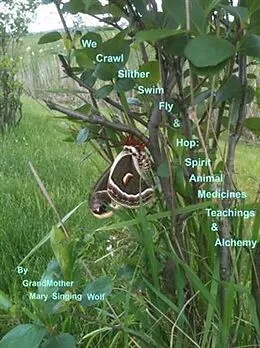 E-Book (epub) We Crawl Slither Swim Fly & Hop:Spirit Animal Medicines Teachings & Alchemy von GrandMother Mary Singing Wolf