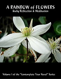 E-Book (epub) A Rainbow of Flowers: Daily Reflection & Meditation: Volume 1 of the "Contemplate Your Navel" Series von Catherine van Humbeck