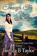 E-Book (epub) Through The Storm von Brenda B. Taylor