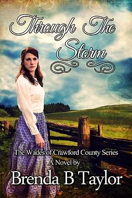 E-Book (epub) Through The Storm von Brenda B. Taylor