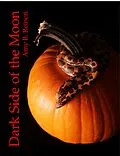 E-Book (epub) Dark Side of the Moon von Amy B. Reineri