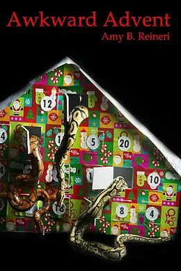 E-Book (epub) Awkward Advent von Amy B. Reineri