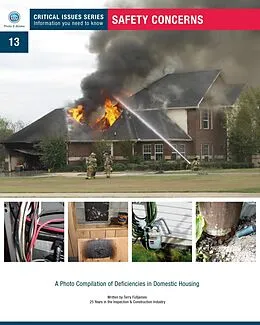E-Book (epub) Safety Concerns: book # 13 Critical Issues Series von Terry Fulljames