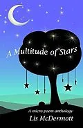 E-Book (epub) A Multitude of Stars von Lis Mcdermott