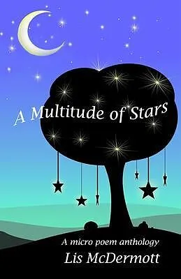 E-Book (epub) A Multitude of Stars von Lis Mcdermott