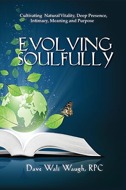 E-Book (epub) Evolving Soulfully von Dave Waugh