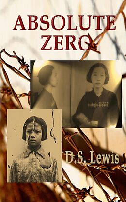 E-Book (epub) Absolute Zero von D. S. Lewis