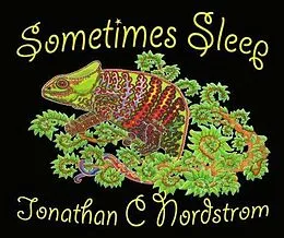 E-Book (epub) Sometimes Sleep von Jonathan C Nordstrom