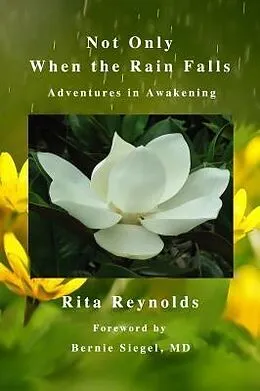 E-Book (epub) Not Only When The Rain Falls von Rita Reynolds