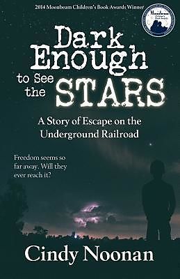 E-Book (epub) Dark Enough to See the Stars von Cynthia Lynn Noonan
