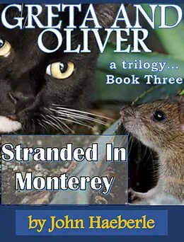 E-Book (epub) Greta and Oliver: Stranded in Monterey von John Haeberle