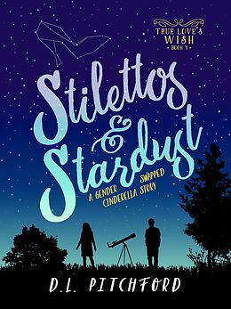 E-Book (epub) Stilettos & Stardust (True Love's Wish Series, #1) von D. L. Pitchford