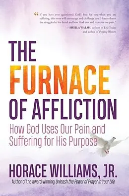 E-Book (epub) The Furnace of Affliction von Horace Williams Jr.