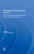 E-Book (epub) The Family In Postindustrial America von David P. Snyder