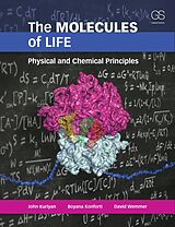E-Book (pdf) The Molecules of Life von John Kuriyan, Boyana Konforti, David Wemmer