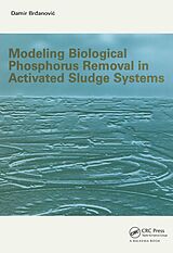 eBook (pdf) Modeling Biological Phosphorus Removal in Activated Sludge Systems de D. Brdanovic