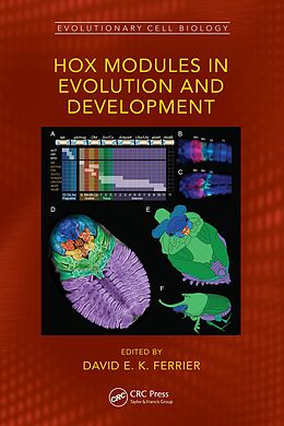 eBook (pdf) Hox Modules in Evolution and Development de 