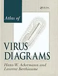 ePUB Atlas of Virus Diagrams von Hans-Wolfgang Ackermann, Laurent Berthiaume