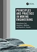 E-Book (pdf) Principles and Practice in Mining Engineering von Abhay Kumar Soni, Ishwardas L. Muthreja, Rajendra R. Yerpude