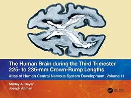 E-Book (epub) The Human Brain during the Third Trimester 225- to 235-mm Crown-Rump Lengths von Shirley A. Bayer, Joseph Altman