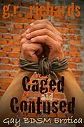 E-Book (epub) Caged and Contused: Gay BDSM Erotica von G. R. Richards