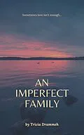 E-Book (epub) An Imperfect Family von Tricia Drammeh