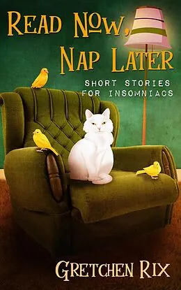 E-Book (epub) Read Now, Nap Later von Gretchen Rix