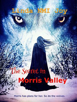 eBook (epub) The Secret in Morris Valley de Linda (Nmi) Joy