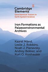 eBook (epub) Iron Formations as Palaeoenvironmental Archives de Kaarel Mand