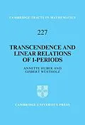 E-Book (pdf) Transcendence and Linear Relations of 1-Periods von Annette Huber
