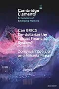 E-Book (epub) Can BRICS De-dollarize the Global Financial System? von Zongyuan Zoe Liu