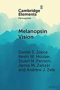 E-Book (epub) Melanopsin Vision von Daniel S. Joyce, Kevin W. Houser, Stuart N. Peirson