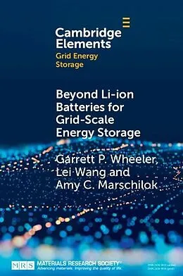 E-Book (pdf) Beyond Li-ion Batteries for Grid-Scale Energy Storage von Garrett P. Wheeler