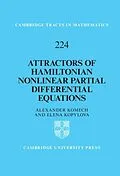 PDF Attractors of Hamiltonian Nonlinear Partial Differential Equations von Alexander Komech