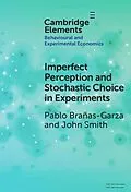 E-Book (epub) Imperfect Perception and Stochastic Choice in Experiments von Pablo Branas-Garza, John Alan Smith