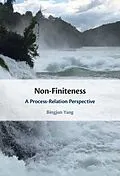 E-Book (epub) Non-Finiteness von Bingjun Yang